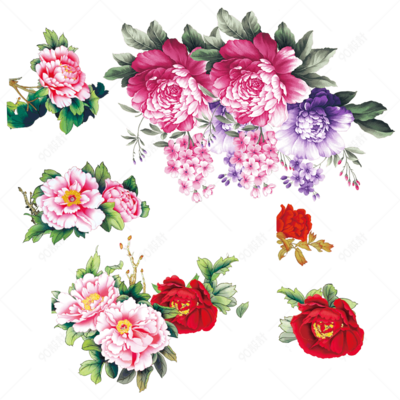 國色天香話牡丹 花卉素材中的王者風范